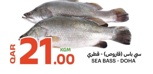 available at Al Baladi Al Yawm in Qatar - Al Shamal