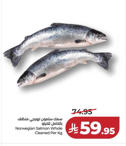 available at لولو هايبرماركت in مملكة العربية السعودية, السعودية, سعودية - تبوك