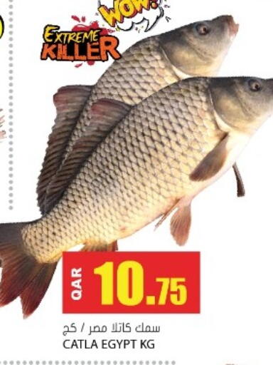 available at جراند هايبرماركت in قطر - أم صلال