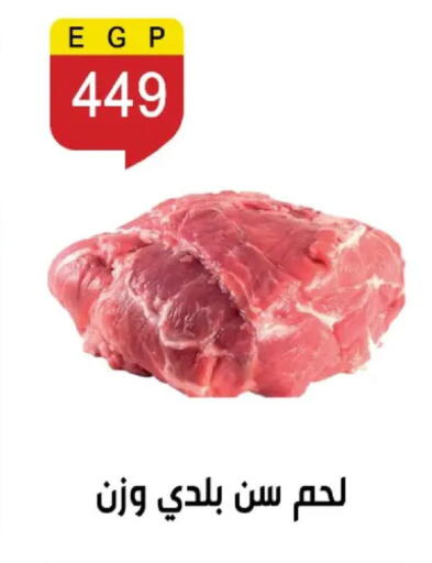 available at بن سليمان in Egypt - القاهرة