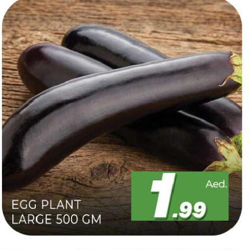 available at Al Madina  in UAE - Sharjah / Ajman