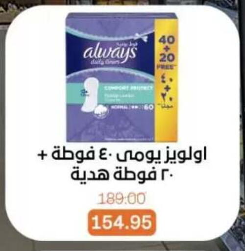 available at Beit El Gomla in Egypt - Cairo