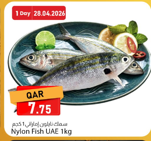 available at Dana Market in Qatar - Al Daayen