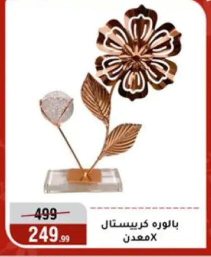 available at Al Morshedy  in Egypt - Cairo