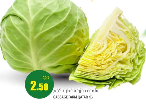 Cabbage from Qatar available at Grand Hypermarket in Qatar - Doha