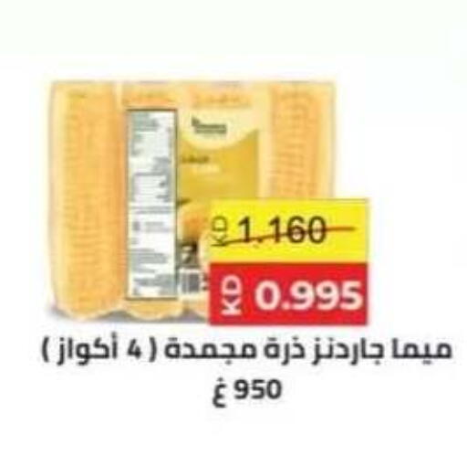 available at جمعية حطين التعاونية in الكويت - مدينة الكويت