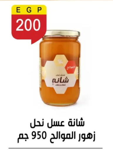 available at بن سليمان in Egypt - القاهرة