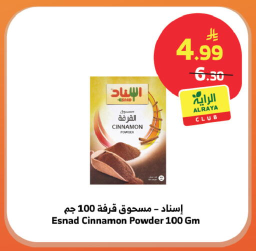 Cinnamon available at Al Raya in KSA, Saudi Arabia, Saudi - Tabuk