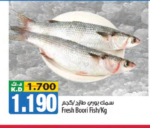 Mango available at مانجو هايبرماركت in الكويت - مدينة الكويت