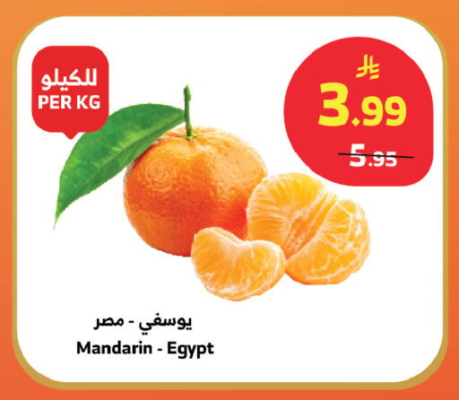Mandarin from Egypt available at الراية in مملكة العربية السعودية, السعودية, سعودية - خميس مشيط