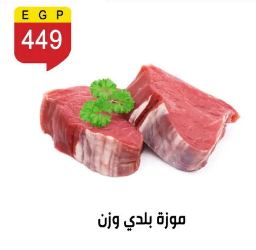 available at بن سليمان in Egypt - القاهرة