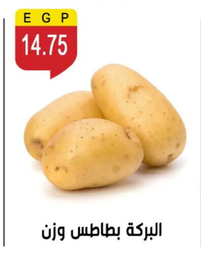 available at بن سليمان in Egypt - القاهرة