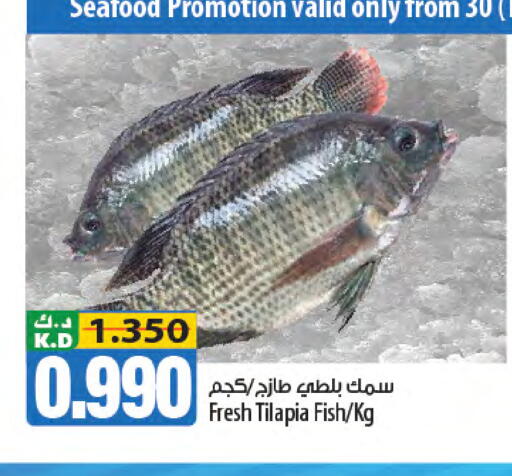 Mango available at مانجو هايبرماركت in الكويت - مدينة الكويت