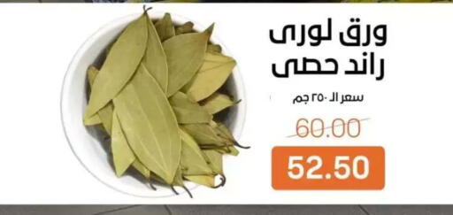 available at Beit El Gomla in Egypt - Cairo