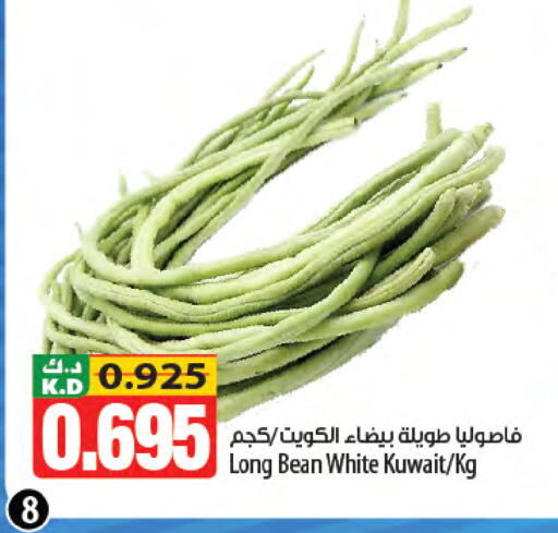 Mango from Kuwait available at مانجو هايبرماركت in الكويت - مدينة الكويت