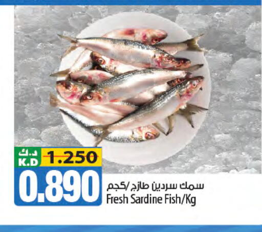 Mango available at مانجو هايبرماركت in الكويت - مدينة الكويت