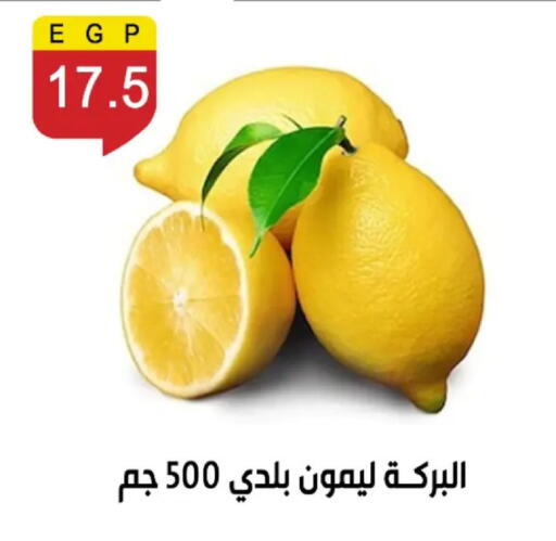 available at بن سليمان in Egypt - القاهرة