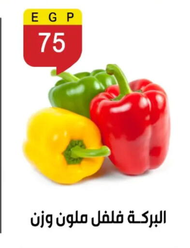 available at بن سليمان in Egypt - القاهرة