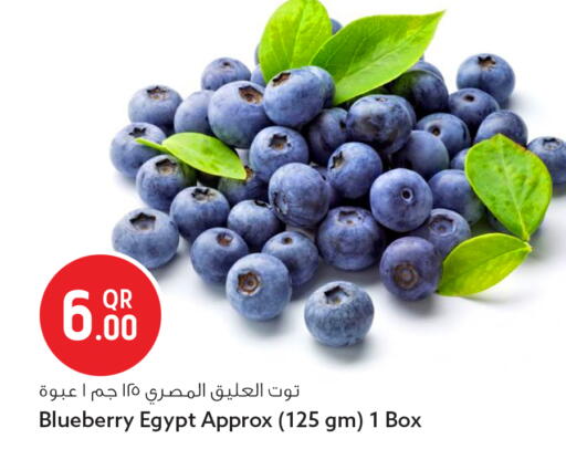Blueberry BlueBerry from Egypt available at سفاري هايبر ماركت in قطر - الشمال