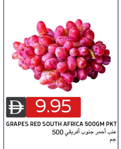 Grapes from South Africa available at Select Market in UAE - Abu Dhabi