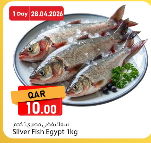 available at Dana Market in Qatar - Al Daayen