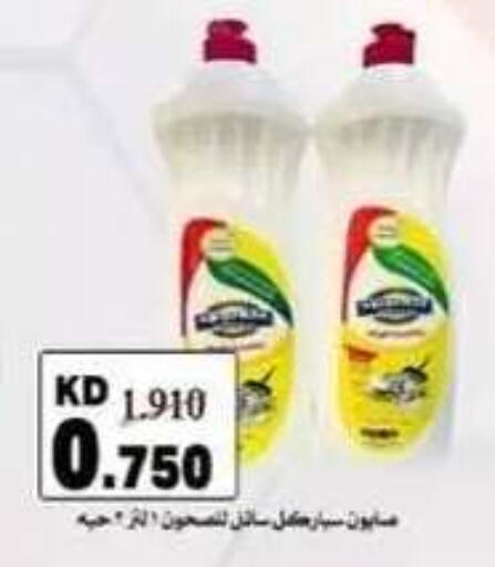 available at جمعية حطين التعاونية in الكويت - مدينة الكويت