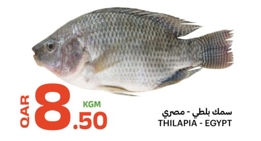 available at البلدي اليوم in قطر - الوكرة