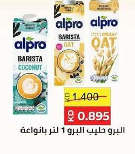 Coconut available at جمعية ضاحية صباح السالم التعاونية in الكويت - مدينة الكويت