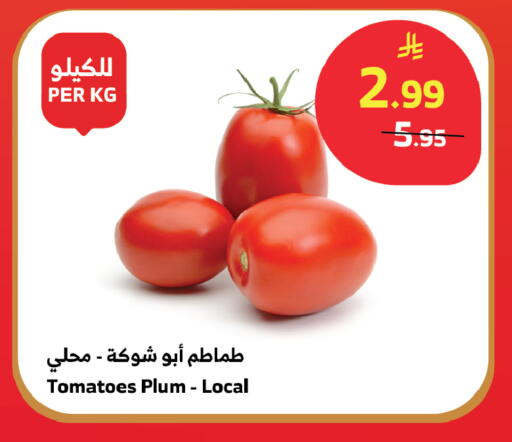 Plum Tomato available at الراية in مملكة العربية السعودية, السعودية, سعودية - تبوك