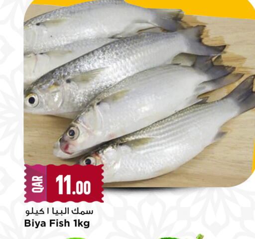 available at مرزا هايبرماركت in قطر - الدوحة