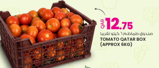 Tomato from Qatar available at أنصار جاليري in قطر - الدوحة