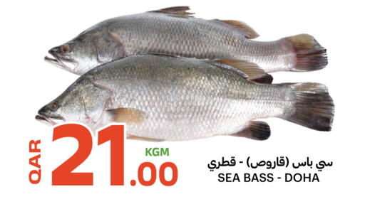 available at البلدي اليوم in قطر - الوكرة