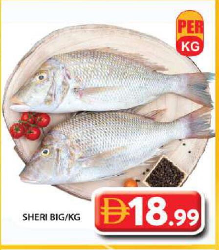 available at Grand Hyper Market in UAE - Sharjah / Ajman