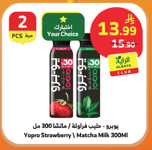 Strawberry available at الراية in مملكة العربية السعودية, السعودية, سعودية - تبوك