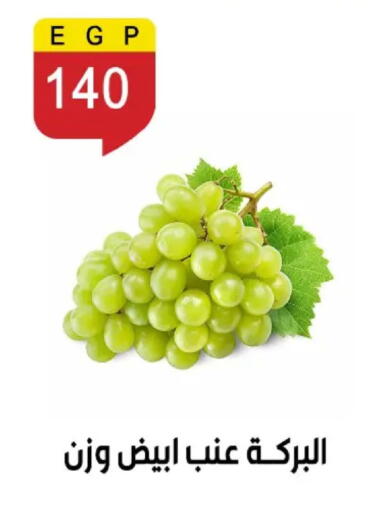 available at بن سليمان in Egypt - القاهرة