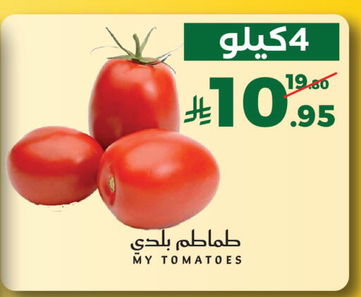 Tomato available at ميرا مارت مول in مملكة العربية السعودية, السعودية, سعودية - جدة