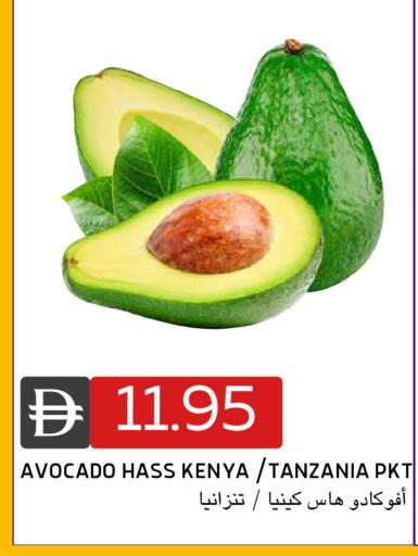 Avocado from Kenya Tanzania available at Select Market in UAE - Abu Dhabi