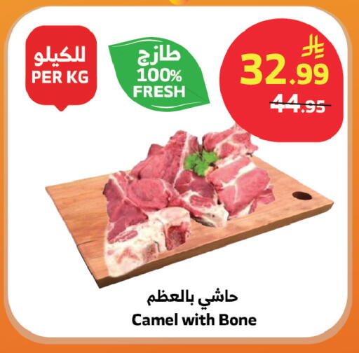 available at Al Raya in KSA, Saudi Arabia, Saudi - Khamis Mushait