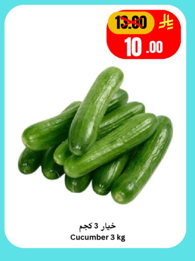Cucumber available at Economic World in KSA, Saudi Arabia, Saudi - Jeddah