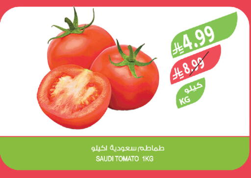 Tomato from Saudi Arabia available at المزرعة in مملكة العربية السعودية, السعودية, سعودية - جدة