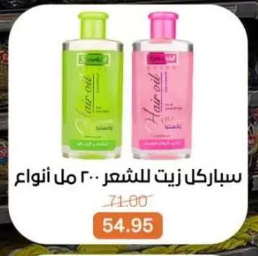 available at Beit El Gomla in Egypt - Cairo