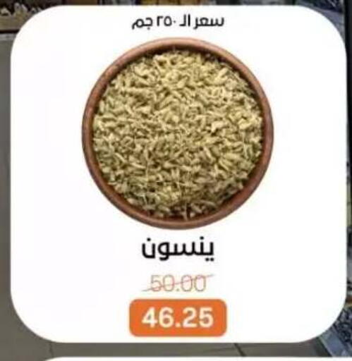 available at Beit El Gomla in Egypt - Cairo