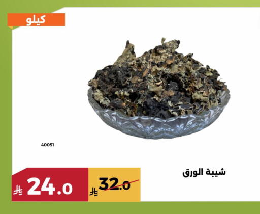 available at حدائق الفرات in مملكة العربية السعودية, السعودية, سعودية - مكة المكرمة