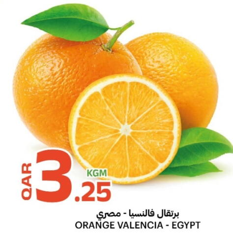 Orange from Egypt available at Al Baladi Al Yawm in Qatar - Al Shamal
