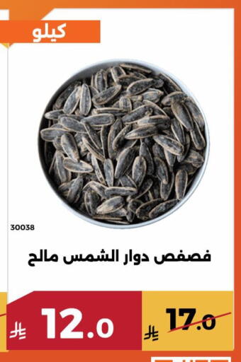 available at حدائق الفرات in مملكة العربية السعودية, السعودية, سعودية - مكة المكرمة