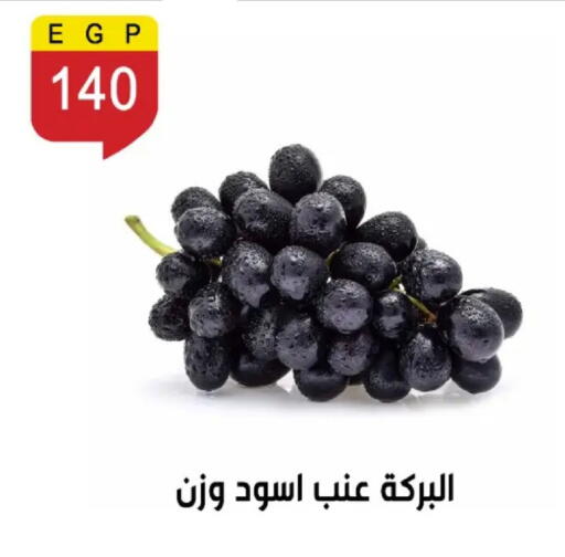 available at بن سليمان in Egypt - القاهرة