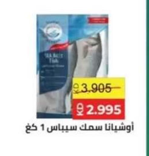 available at جمعية حطين التعاونية in الكويت - مدينة الكويت
