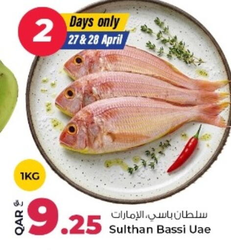 available at روابي هايبرماركت in قطر - الوكرة