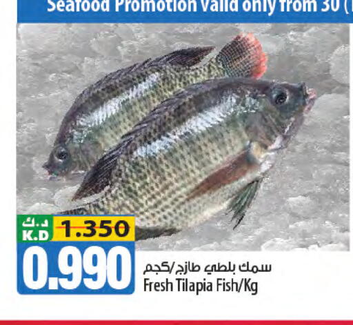 Mango available at مانجو هايبرماركت in الكويت - مدينة الكويت