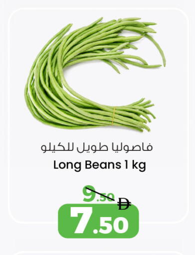 available at أنصار جاليري in الإمارات العربية المتحدة , الامارات - دبي
